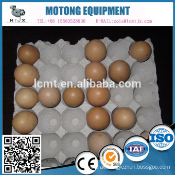 Egg tray carton 30 pack